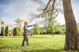 Best Arborist Consultation Services  in USA